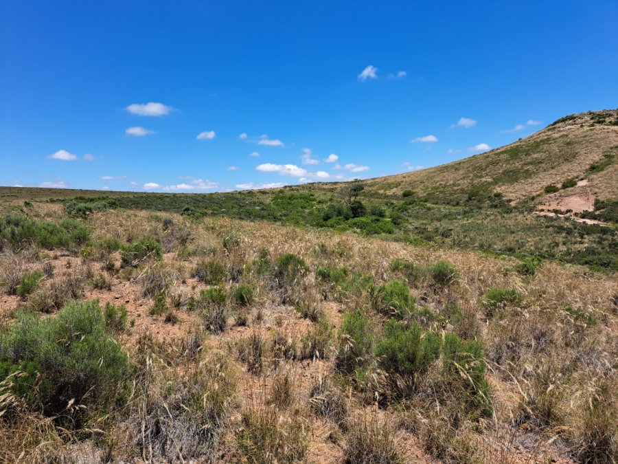 17 Bedroom Property for Sale in Riversdale Rural Western Cape